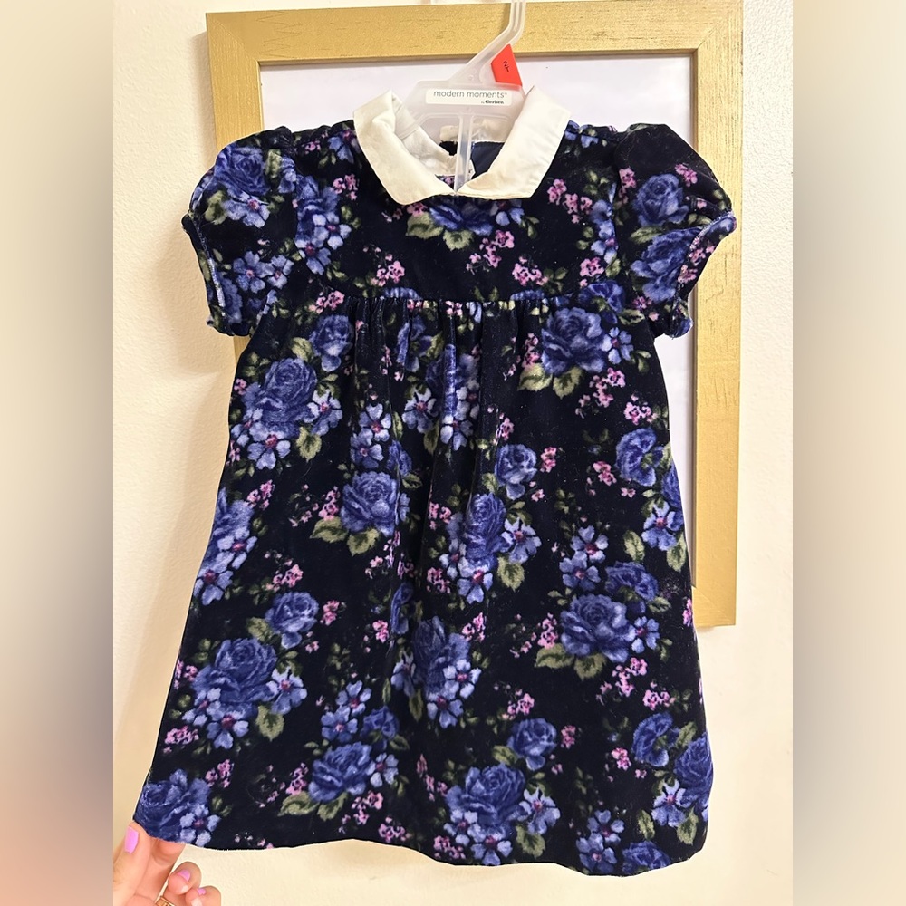 Janie and Jack Collared Floral Velvet Dress with matching bloomers